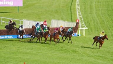 Cheltenham Festival - Champion hurdle preview