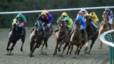 Monday's Horse Racing Tips: Lingfield, December 9th